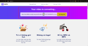 Cách tải video từ Facebook, Youtube, Tik Tok về máy tính đơn giản 31 11 3