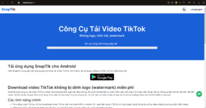 Cách tải video từ Facebook, Youtube, Tik Tok về máy tính đơn giản 34 12 2