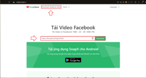Cách tải video từ Facebook, Youtube, Tik Tok về máy tính đơn giản 20 2 11