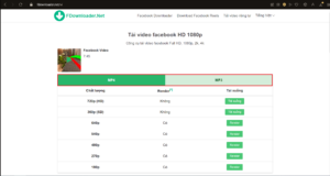 Cách tải video từ Facebook, Youtube, Tik Tok về máy tính đơn giản 24 5 8