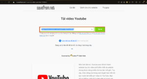 Cách tải video từ Facebook, Youtube, Tik Tok về máy tính đơn giản 28 8 4