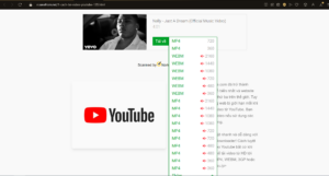 Cách tải video từ Facebook, Youtube, Tik Tok về máy tính đơn giản 29 9 5