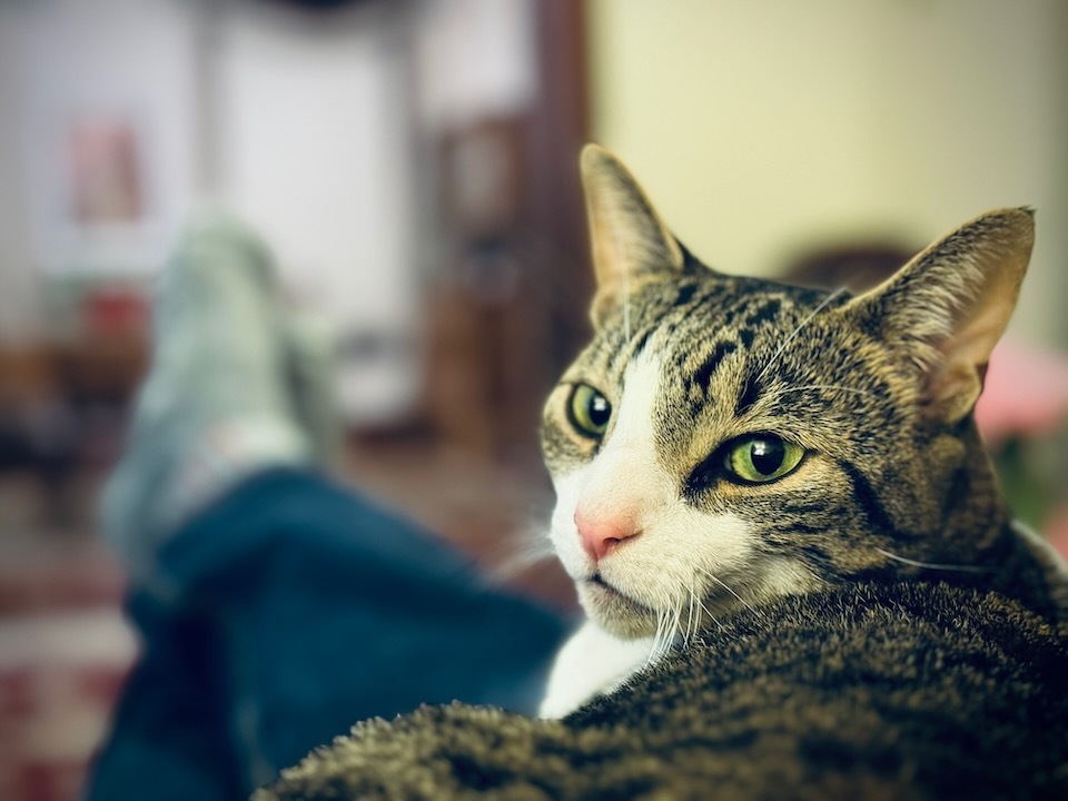 Apple iPhone 15 Pro Max Review 37 18