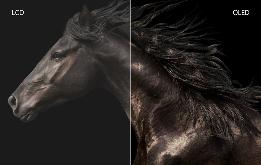 Màn hình được giải mã: Giải thích tất cả các loại màn hình máy tính xách tay 35 31 4