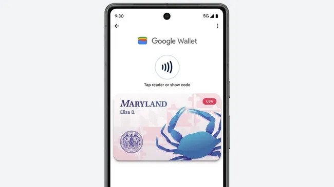 Cách thêm ID của bạn vào Google Wallet 2 42