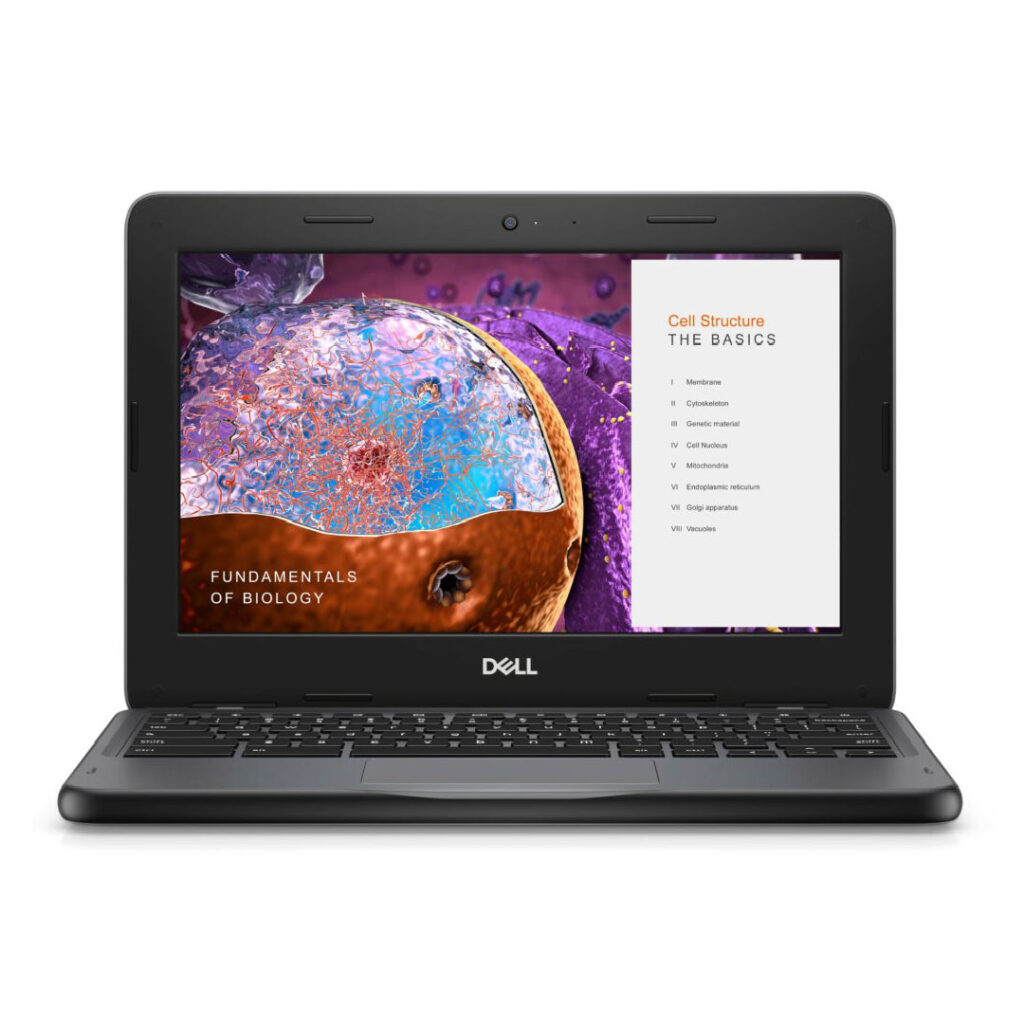 Dell Chromebook 3110 01 01