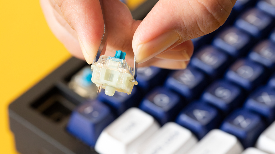 Cách tạo bàn phím cơ tùy chỉnh: Hướng dẫn cho người mới bắt đầu 15 Cach tao ban phim co tuy chinh Huong dan cho nguoi moi bat dau 04