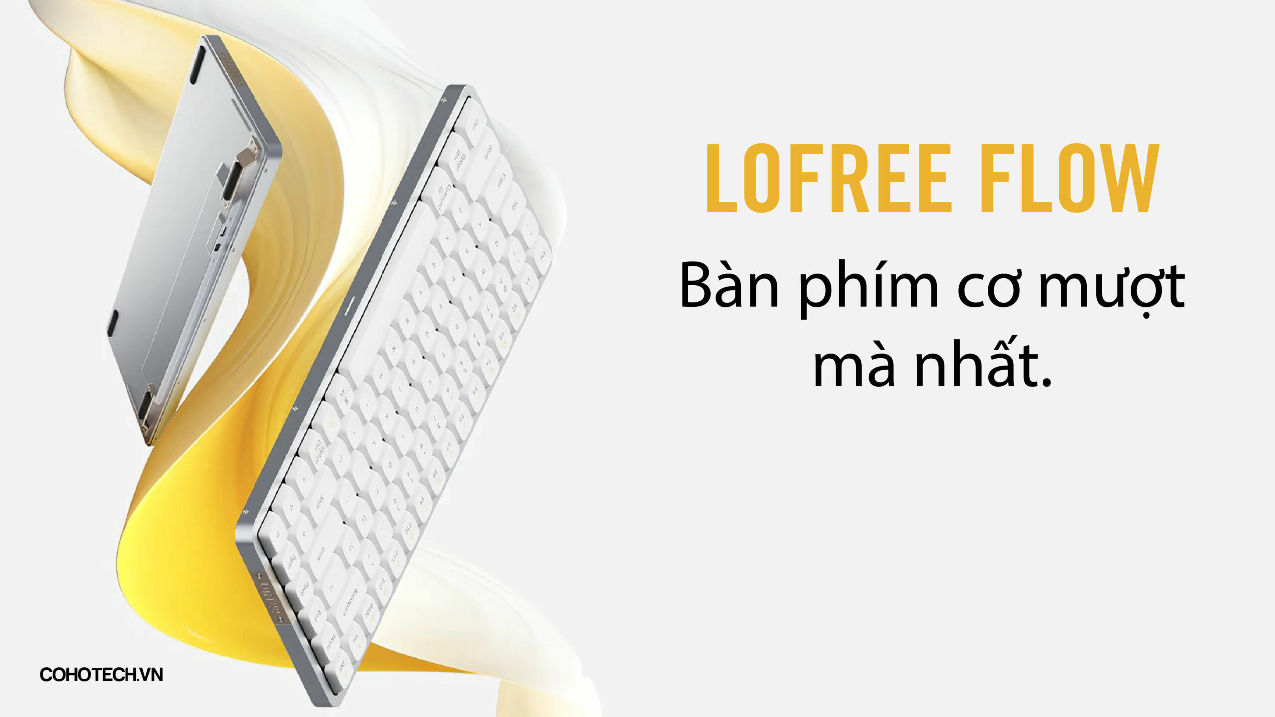 Untitled 3 01 scaled