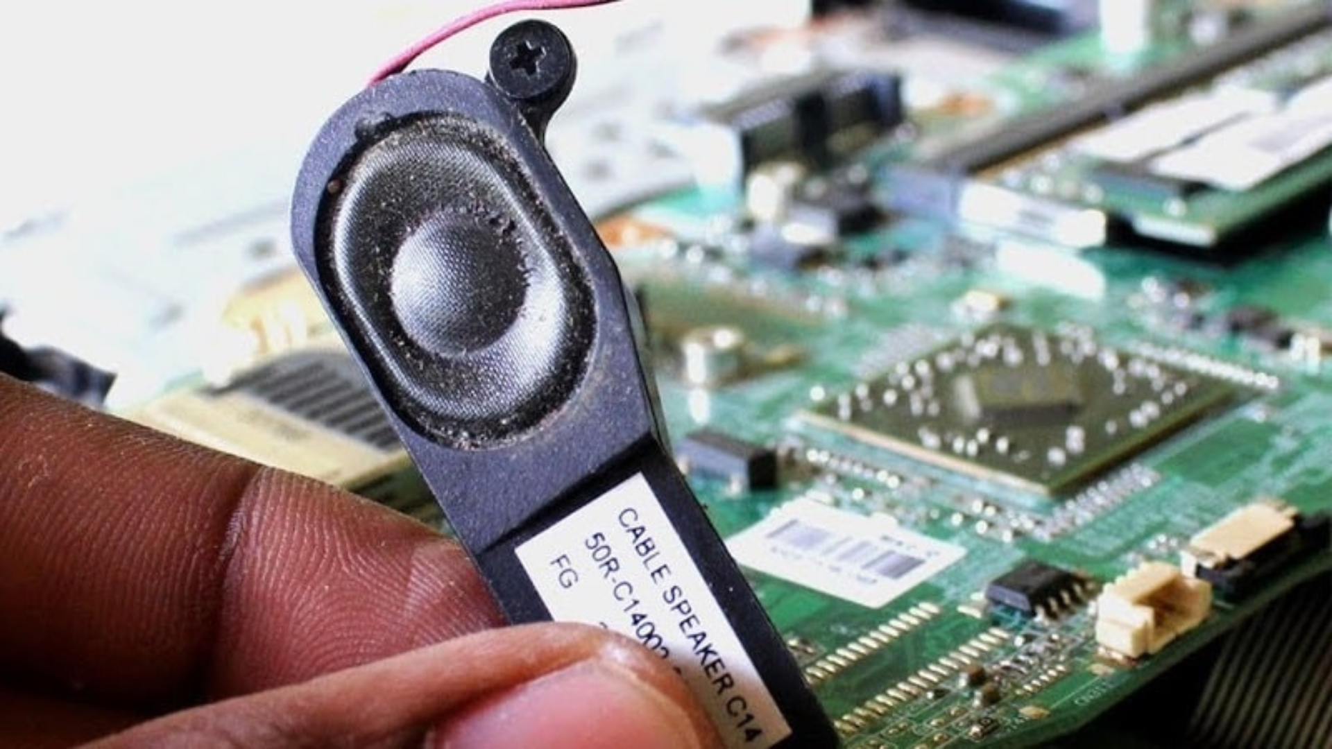 Bui ban tich tu trong loa 1