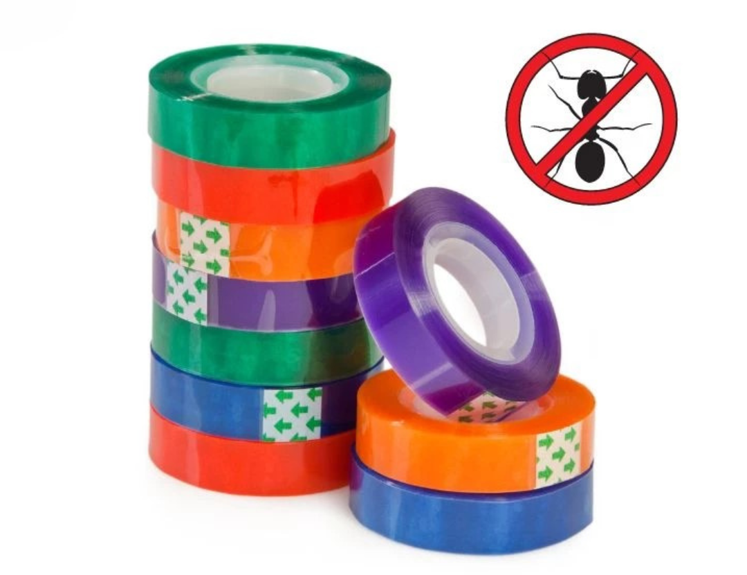 Cách xử lý kiến chui vào laptop hiệu quả an toàn 22 Dung bang keo dinh de loai bo kien e1728119829985