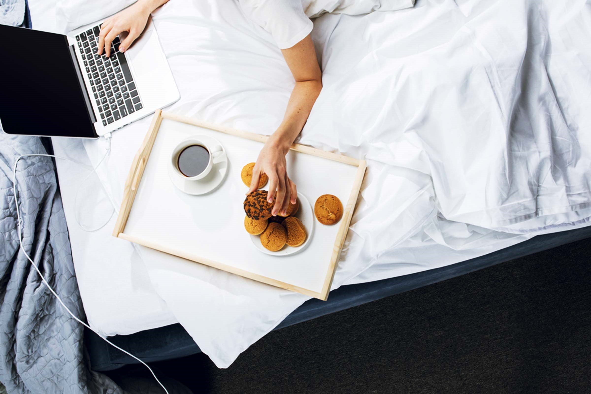 Cách xử lý kiến chui vào laptop hiệu quả an toàn 15 Laptop co thuc an hoac manh vun