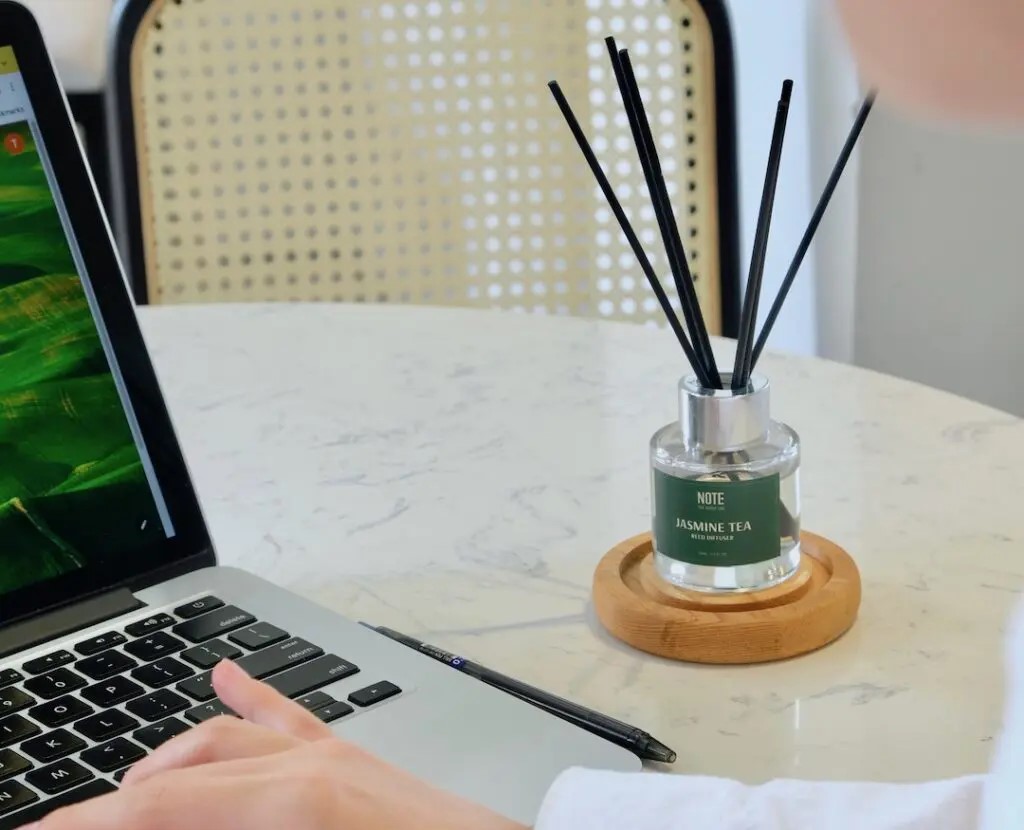 Cách xử lý kiến chui vào laptop hiệu quả an toàn 17 Mui huong tu may tinh