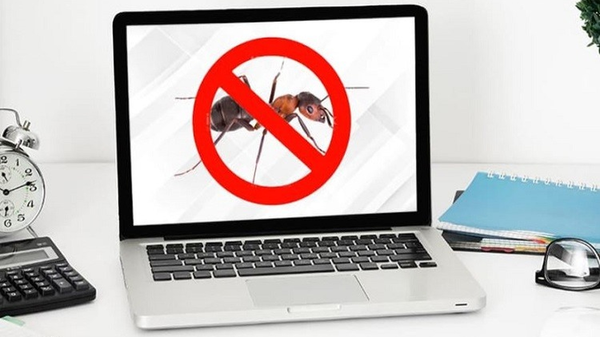 Cách xử lý kiến chui vào laptop hiệu quả an toàn 27 Phong tranh kien chui vao laptop