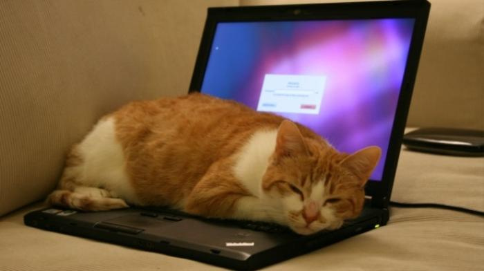 Hướng dẫn sửa lỗi hở sáng màn hình laptop hiệu quả 14 Tac dong vat ly 1