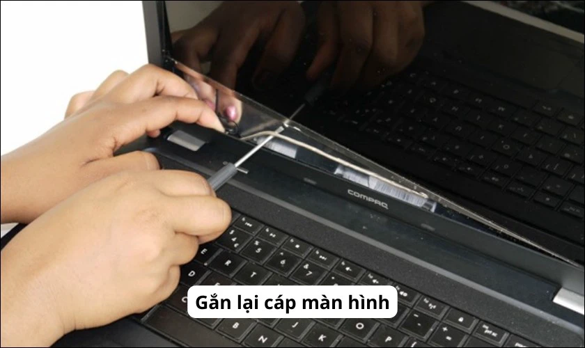 Hướng dẫn cách sửa lỗi màn hình laptop bị xanh lá cây 8 Kiem tra ket noi cap man hinh