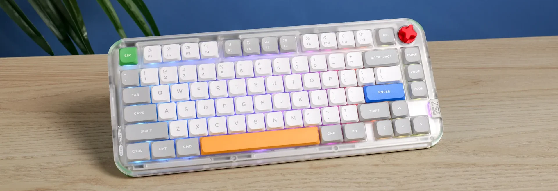 NuPhy Kick75 17 e1742992611369