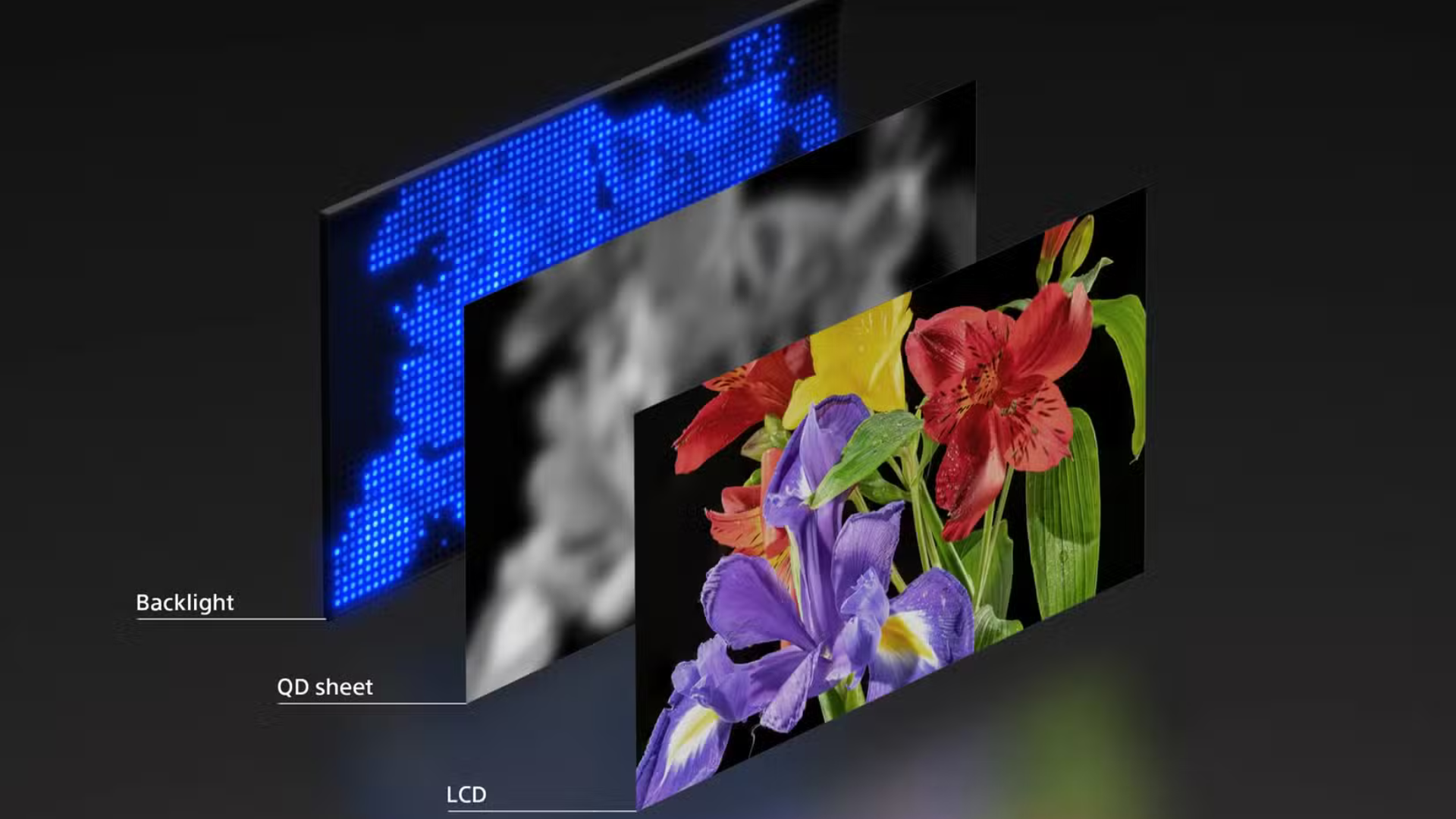 Tại sao công nghệ đèn nền RGB LED của Sony có thể vượt mặt OLED: Giải thích chi tiết, dễ hiểu cho mọi người 7 Tai sao cong nghe den nen RGB LED cua Sony co the vuot mat OLED Giai thich chi tiet de hieu cho moi nguoi 2