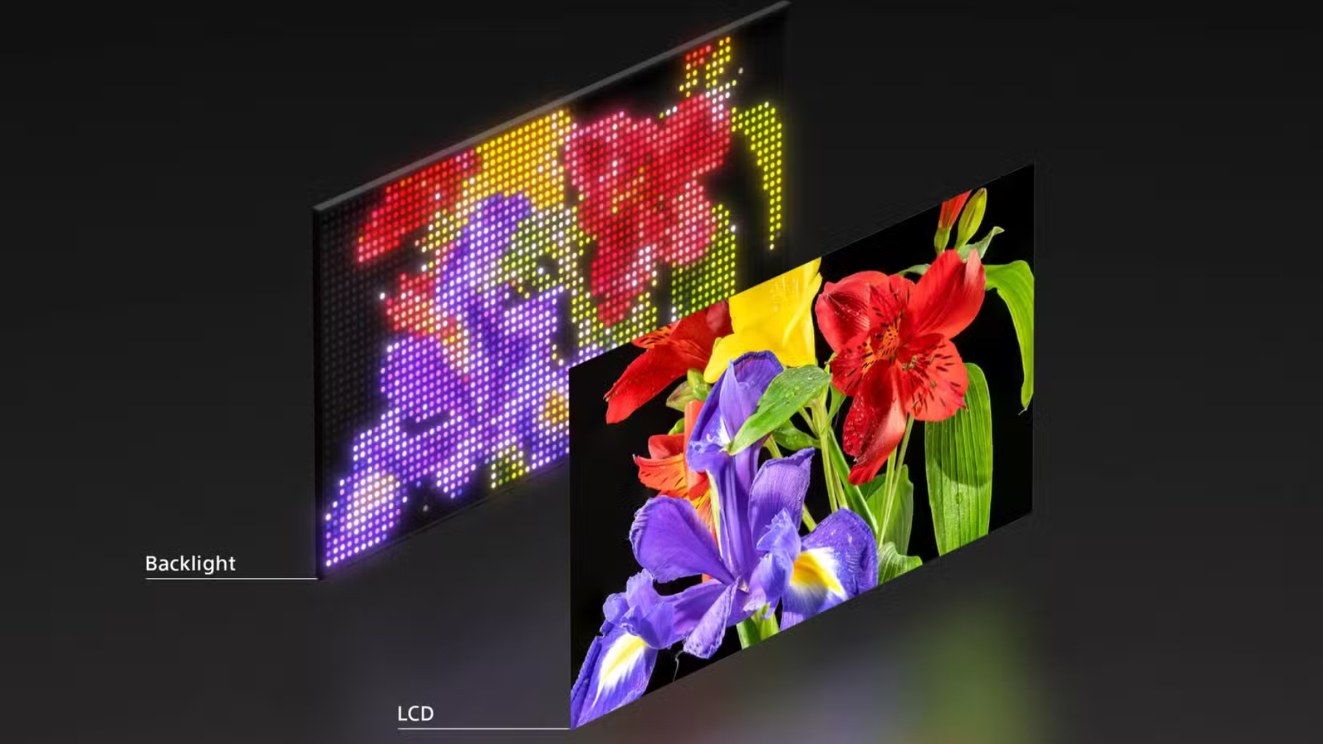 Tại sao công nghệ đèn nền RGB LED của Sony có thể vượt mặt OLED: Giải thích chi tiết, dễ hiểu cho mọi người 8 Tai sao cong nghe den nen RGB LED cua Sony co the vuot mat OLED Giai thich chi tiet de hieu cho moi nguoi 3