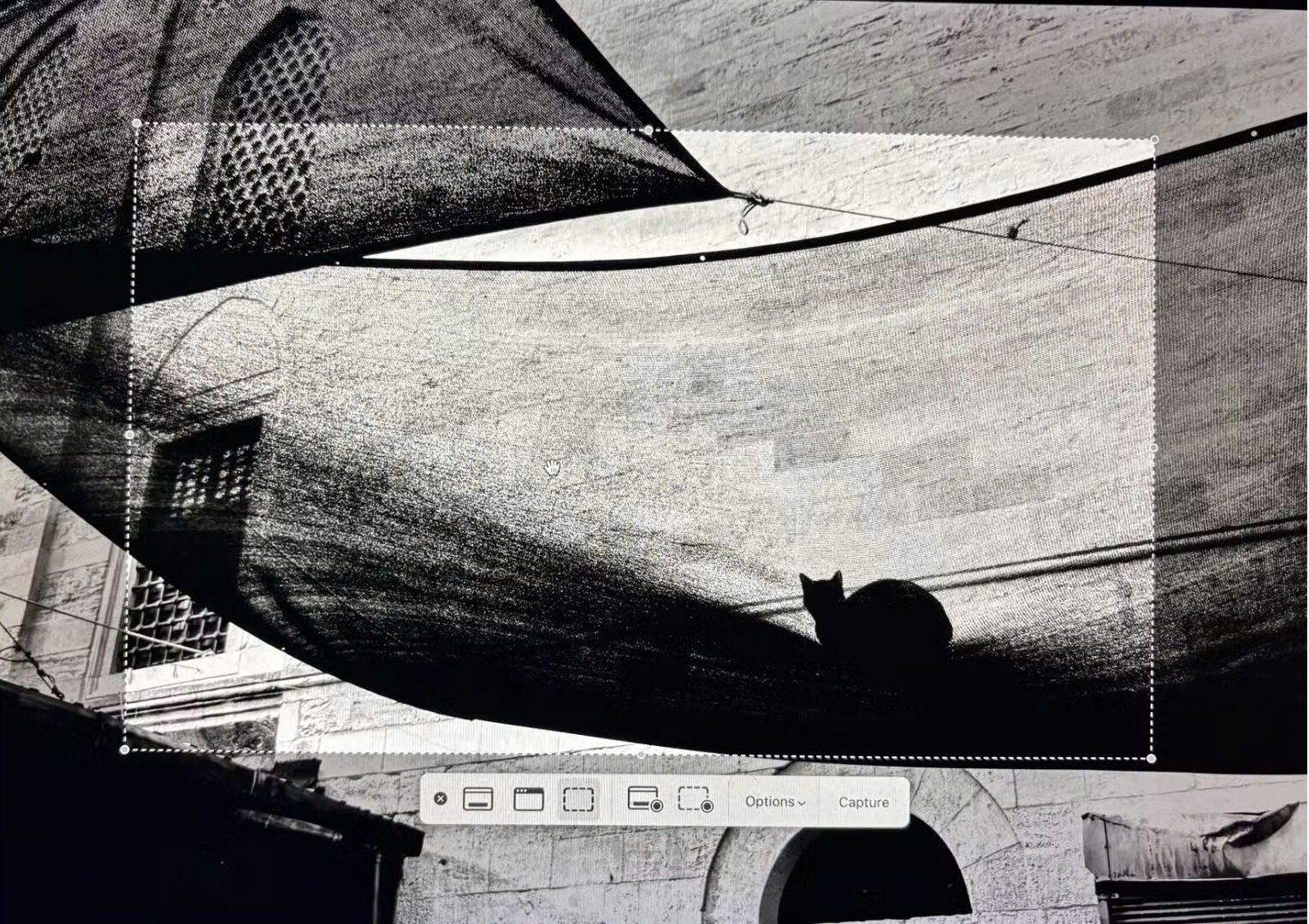 7 khac biet lon giua macOS va Windows khien ban boi roi – Giai phap lam quen nhanh e1743769087844