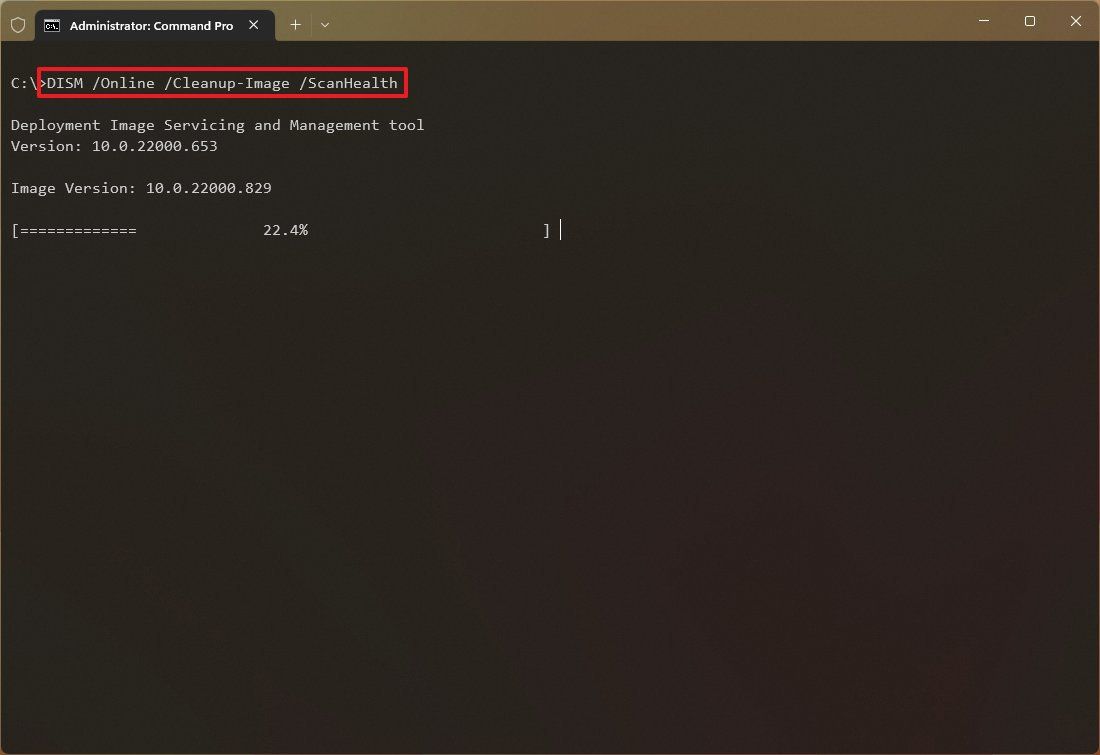 Cách sử dụng DISM để sửa chữa hình ảnh cục bộ trên Windows 11 11 Cach su dung DISM de sua chua hinh anh cuc bo tren Windows 11 3