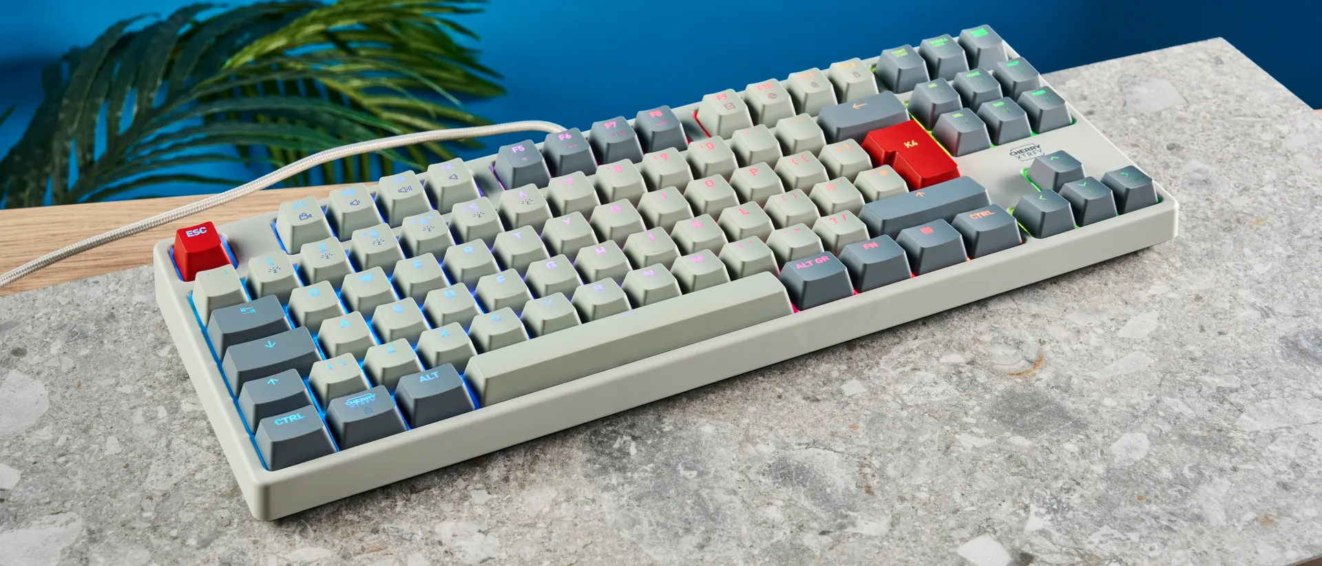 Cherry K4V2 TKL 1