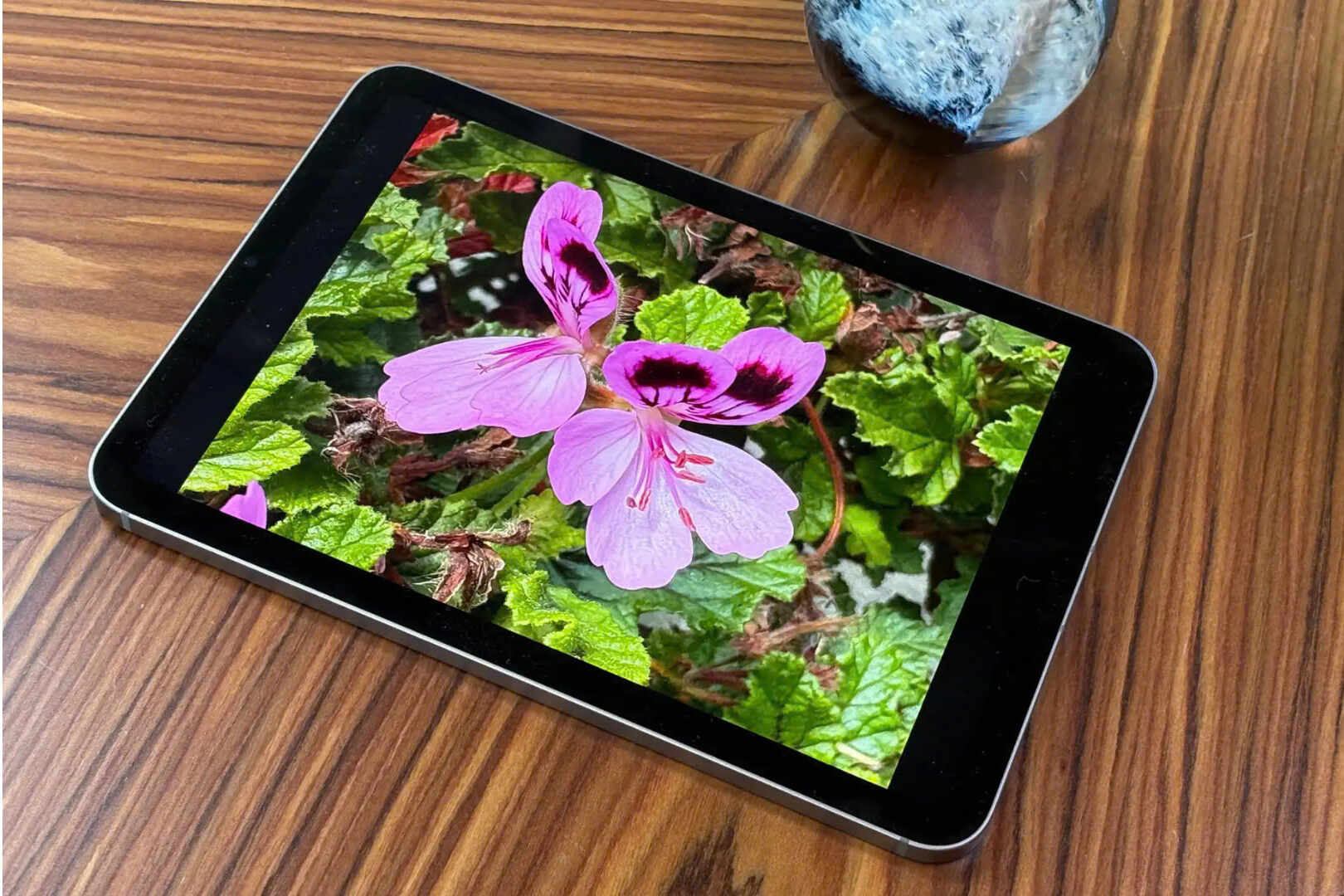 Đánh giá iPad mini (A17 Pro): Nhanh hơn, thông minh hơn với Apple Intelligence 8 Danh gia iPad mini A17 Pro Nhanh hon thong minh hon voi Apple Intelligence 5 e1745492128247
