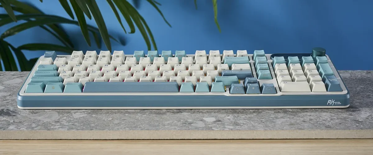 Đánh giá bàn phím cơ Royal Kludge S98 - Trải nghiệm gõ phím mượt mà với thiết kế độc đáo 23 Royal Kludge S98 3 e1744447187614