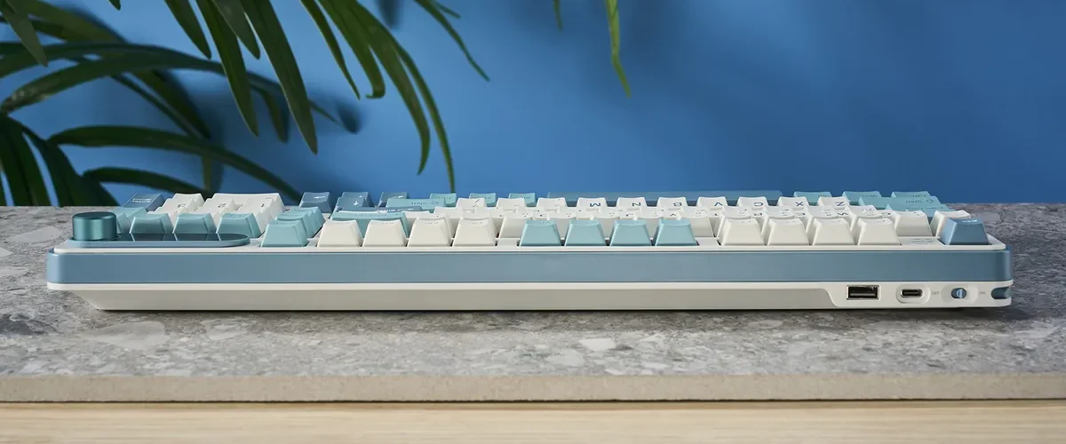 Đánh giá bàn phím cơ Royal Kludge S98 - Trải nghiệm gõ phím mượt mà với thiết kế độc đáo 21 Royal Kludge S98 5 e1744447068621