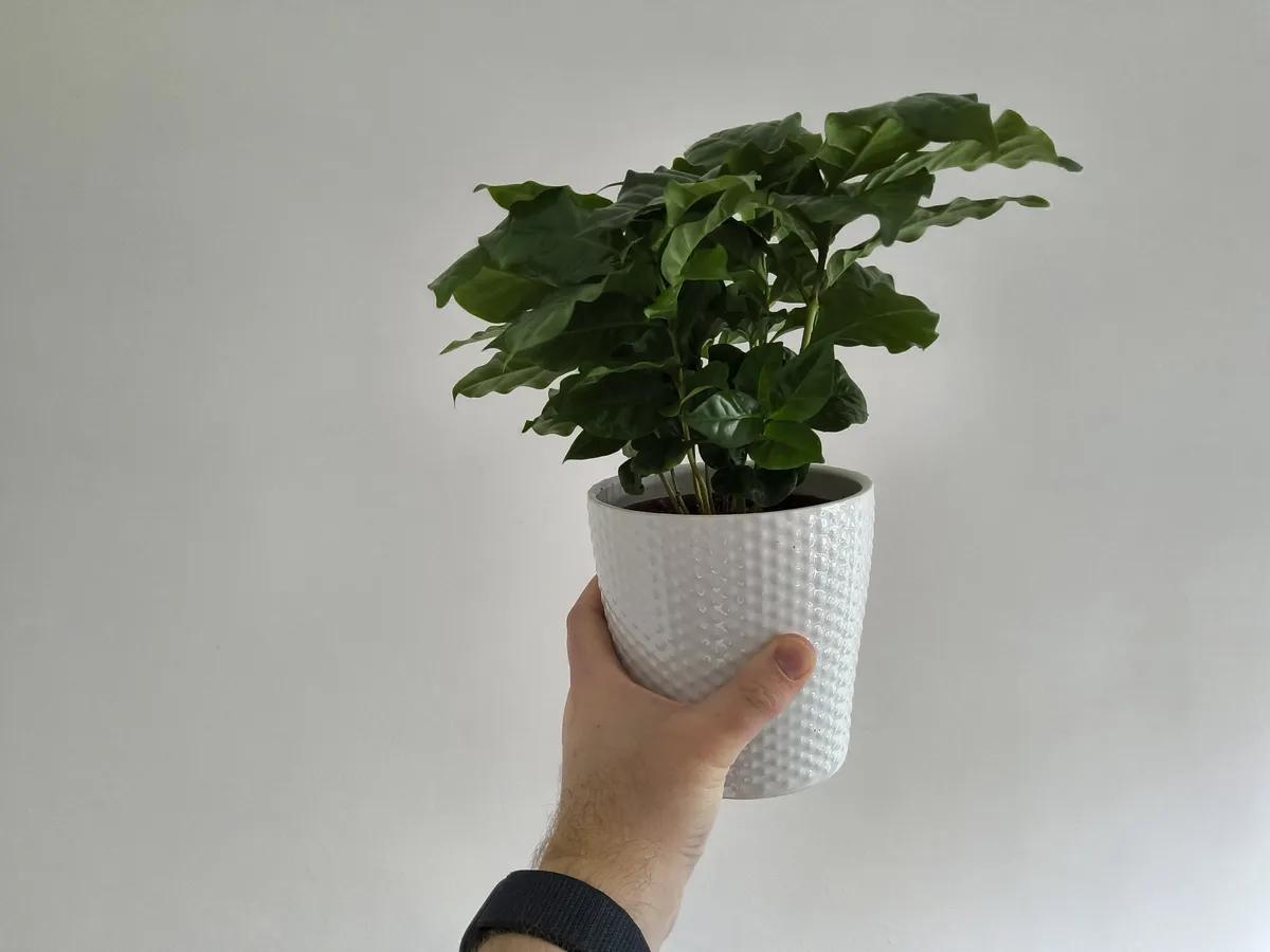 Samsung Galaxy Tab S10 Plus 8