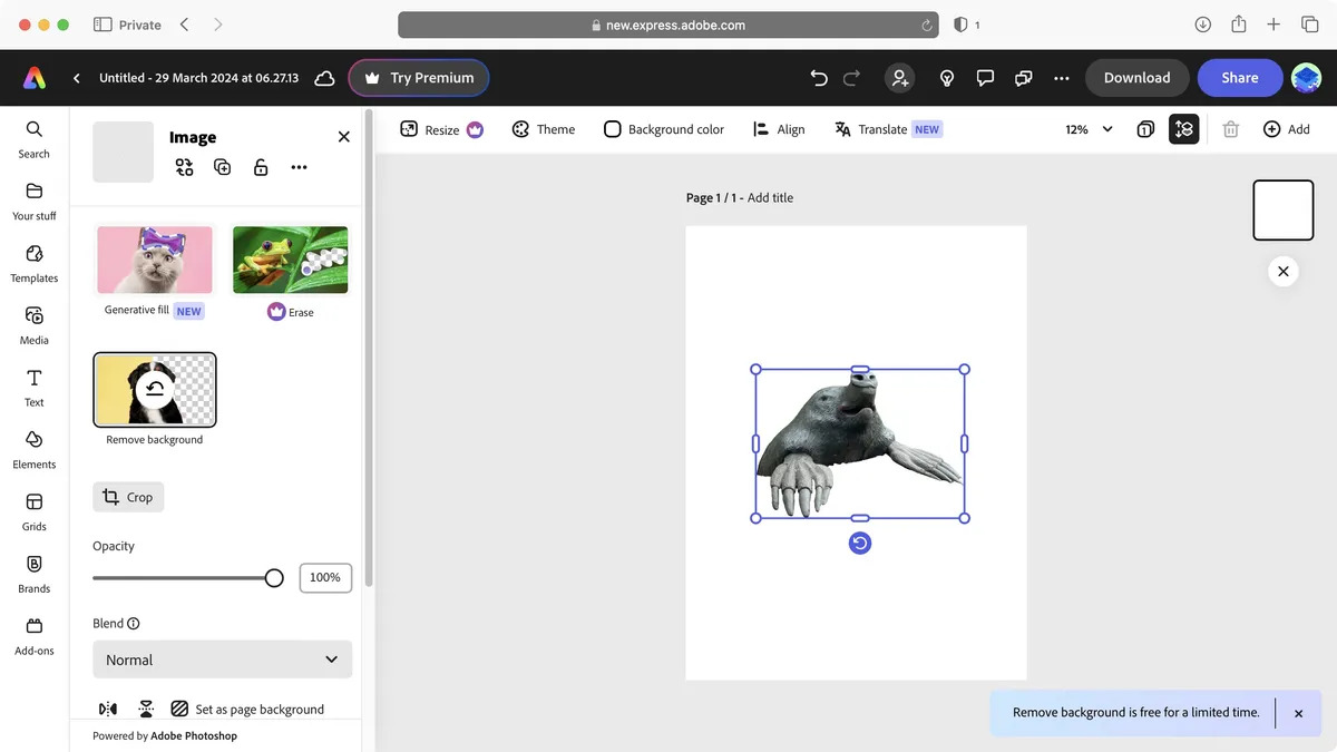 Adobe Express 2025 4
