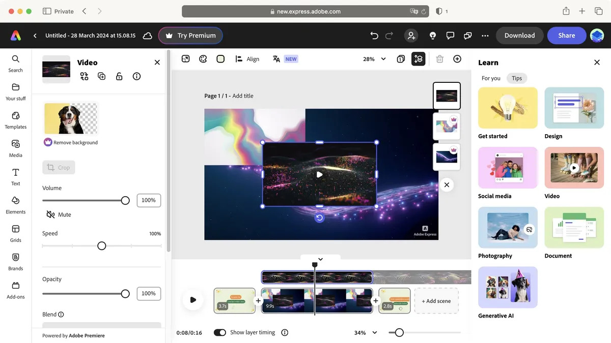 Adobe Express 2025 5