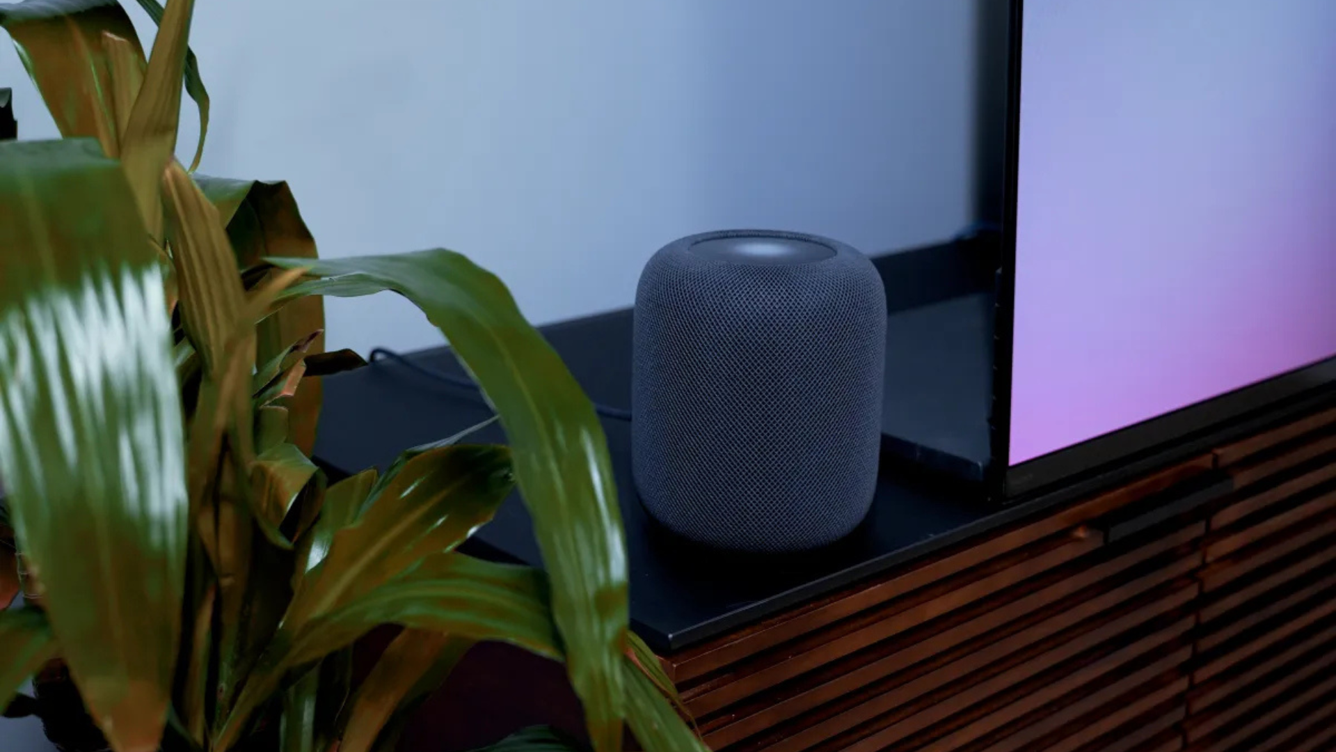 Apple Home Hub 2025: Tất tần tật về thiết bị thông minh mới của Apple 1 Apple Home Hub 2025 Tat tan tat ve thiet bi thong minh moi cua Apple 1