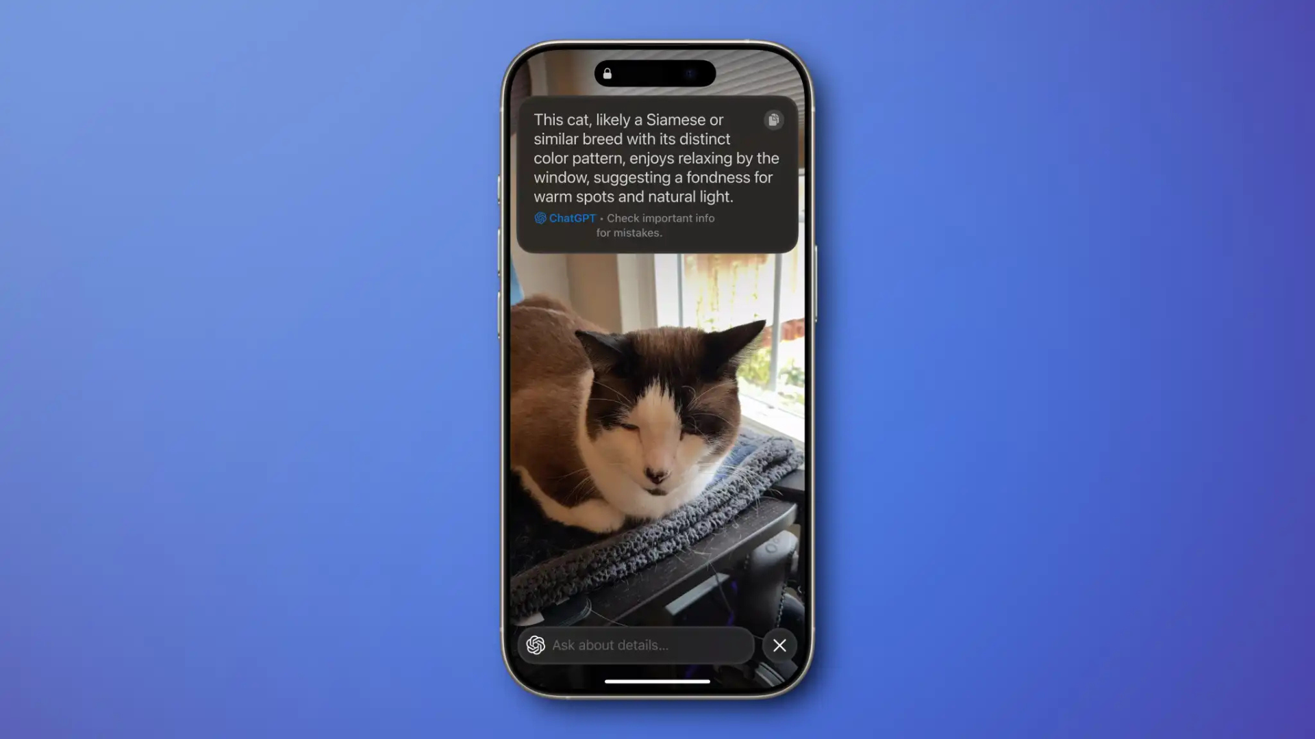Cách dùng ChatGPT trên iOS 18.2 và macOS: Siri thông minh hơn bao giờ hết 15 Cach dung ChatGPT tren iOS 18.2 va macOS Siri thong minh hon bao gio het 8