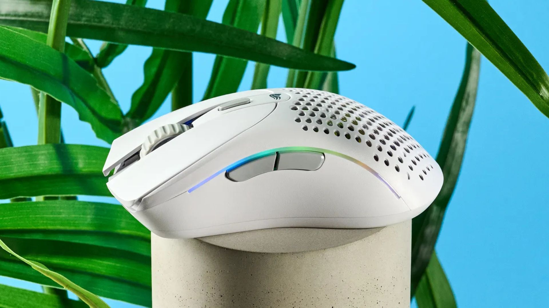 Đánh giá Glorious Model D2 - Chuột gaming đỉnh cao cho mọi game thủ! 1 Glorious Model D2 9 1