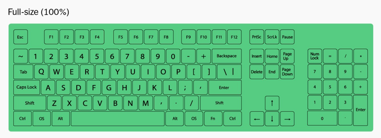Huong dan mua ban phim co de dang cho nguoi moi bat dau Tu A den Z 6