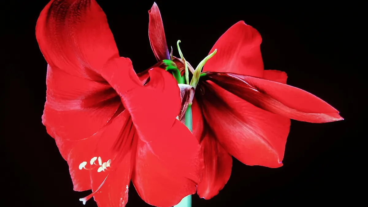 Lenovo Yoga Slim 7x 3