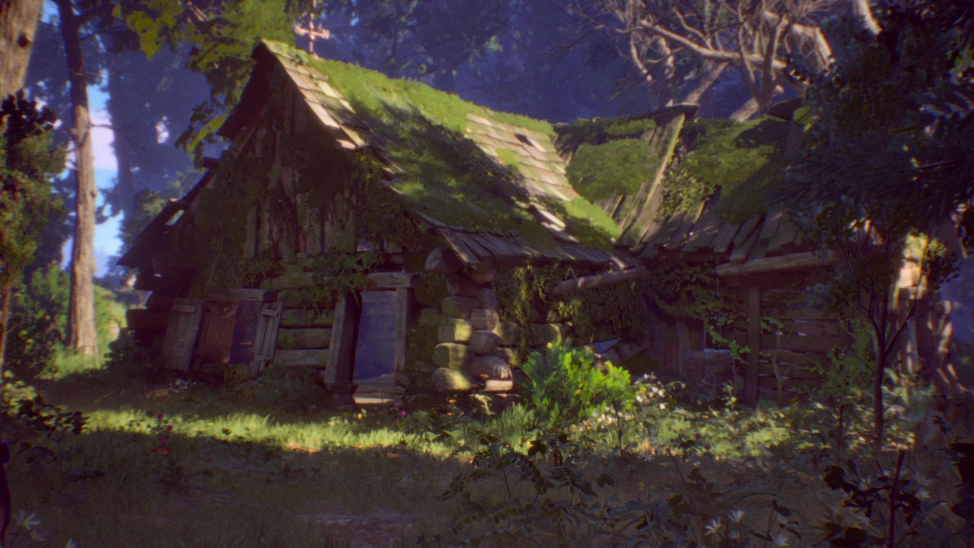 Lost Records Bloom Rage Tape 2 5