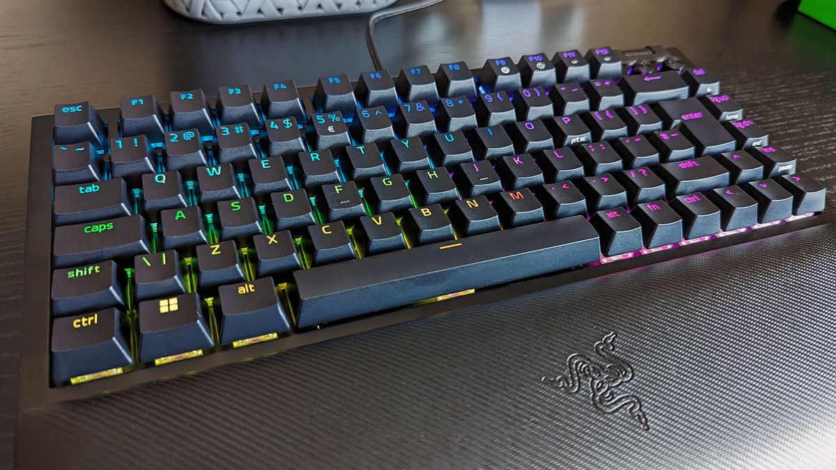 Razer BlackWidow V4 75 1
