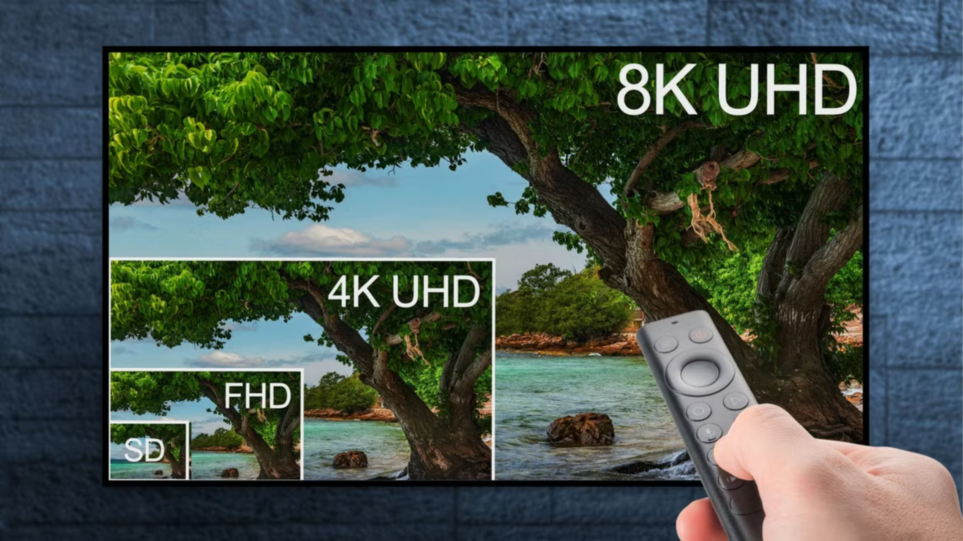 Tại sao bạn nên nâng cấp từ 1080p lên 1440p hoặc 4K ngay hôm nay 1 Tai sao ban nen nang cap tu 1080p len 1440p hoac 4K ngay hom nay 1