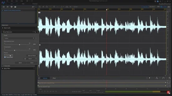 Top 5 phần mềm chỉnh sửa âm thanh tốt nhất cho PC chạy Windows 10 và Windows 11 9 Audio Director