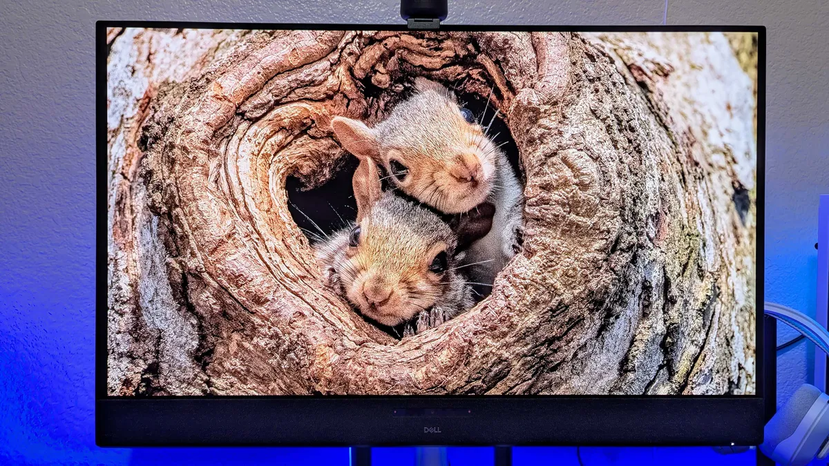 Dell 32 Plus 4K QD OLED 7 1