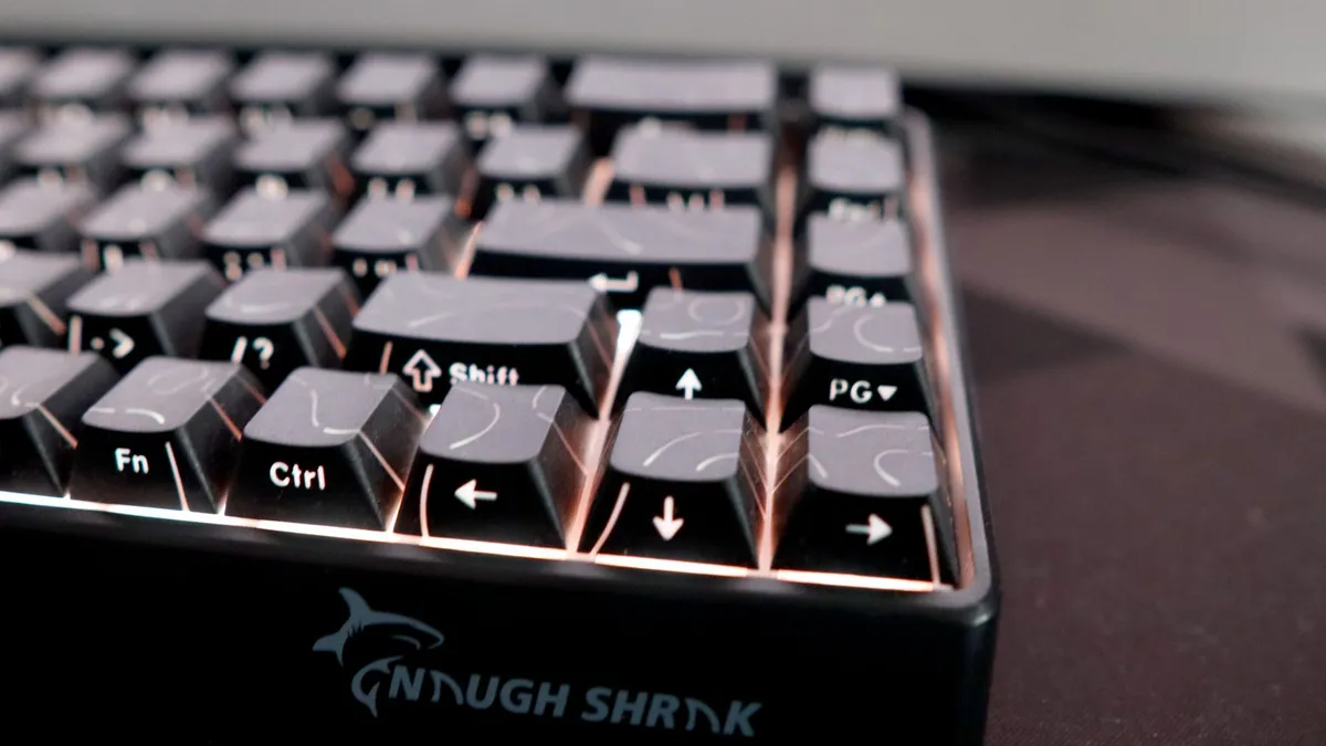 Đánh giá GAMAKAY X NAUGHSHARK NS68: Bàn phím cơ từ tính vượt xa mức giá gây bất ngờ 17 GAMAKAY X NAUGHSHARK NS68 6