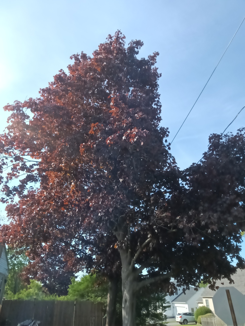 Đánh giá Minimal Phone: Có cần thiết phải từ bỏ mạng xã hội không? 26 Minimal Phone 11