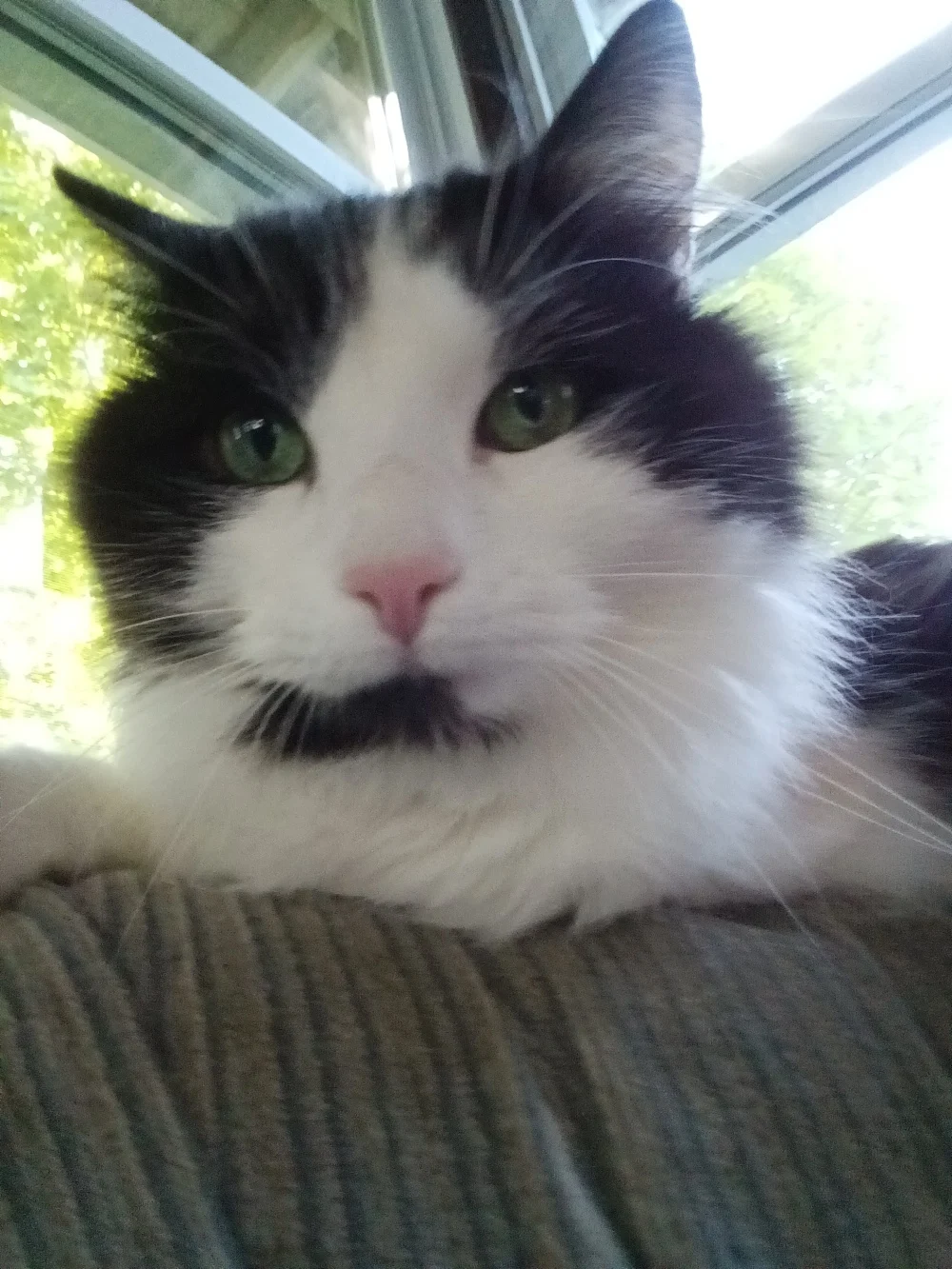 Đánh giá Minimal Phone: Có cần thiết phải từ bỏ mạng xã hội không? 27 Minimal Phone 12