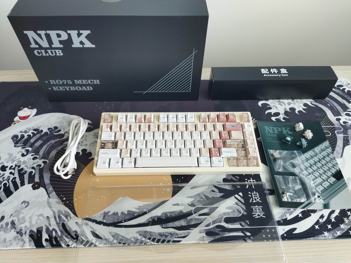 Đánh giá NPKC RO75: Bàn phím cơ nhỏ gọn với khả năng tùy chỉnh xuất sắc 27 NPKC RO75 5