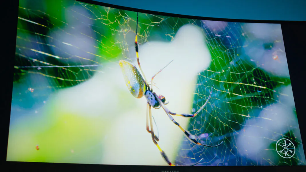 Philips Brilliance 346B1 15