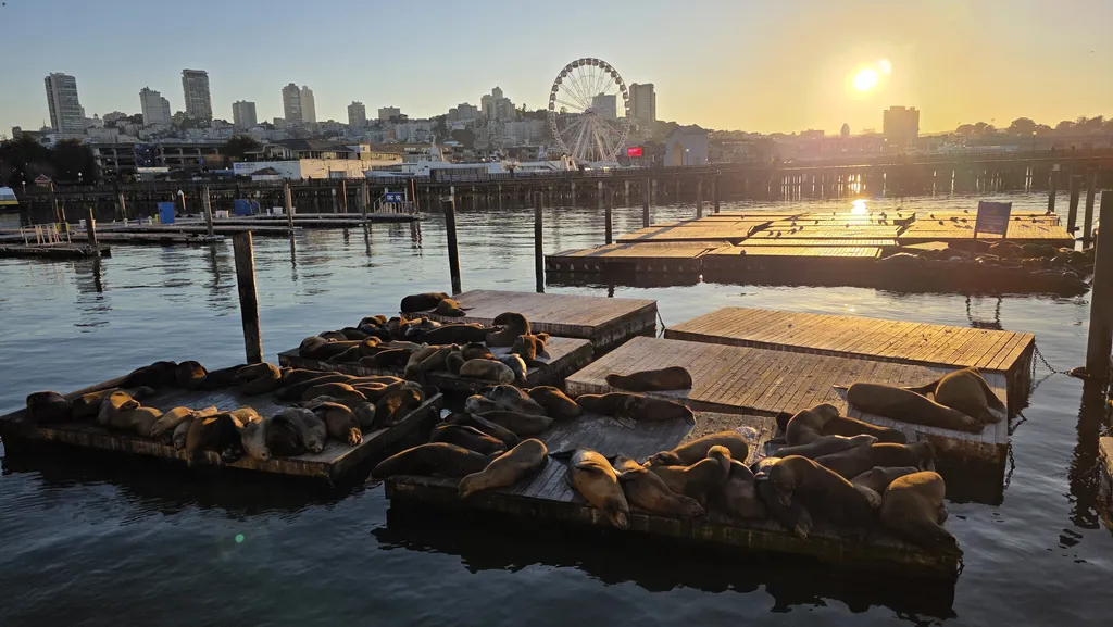 Samsung Galaxy S25 Ultra 10