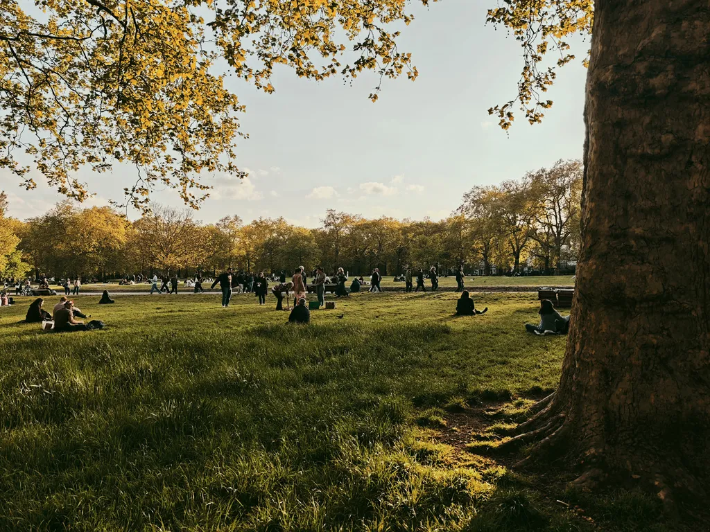 Đánh giá điện thoại Xiaomi 15: Sẽ là đối thủ của Samsung Galaxy S25 không? 24 Xiaomi 15 10