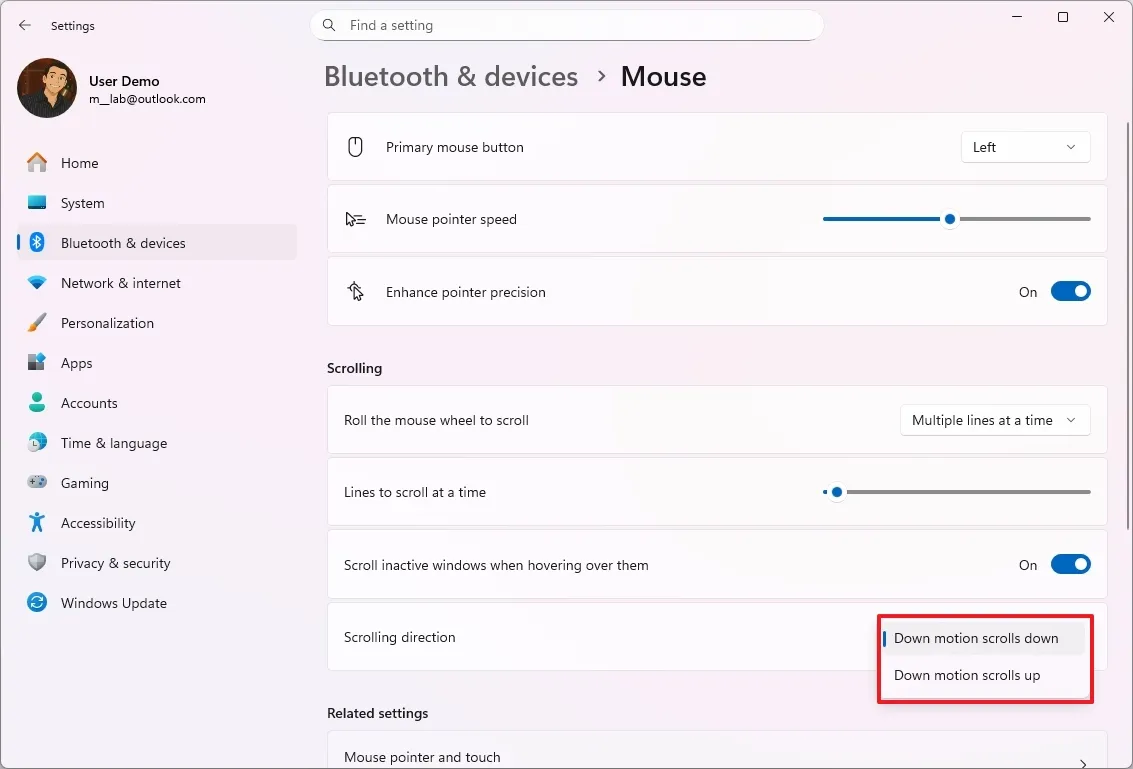 Hướng dẫn cách tùy chỉnh cài đặt chuột trên Windows 11 81 cach tuy chinh cai dat chuot tren Windows 11 38