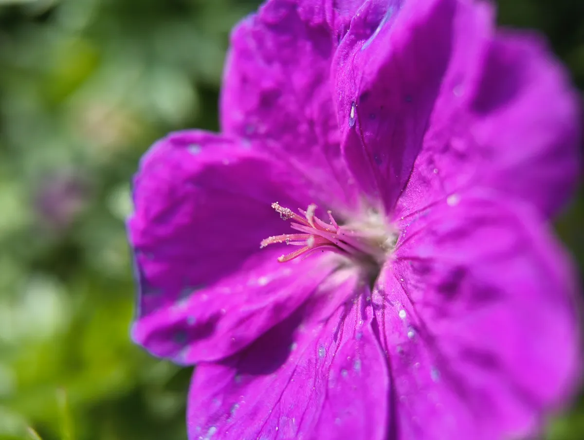 Đánh giá CMF Phone 2 Pro: Thiết kế táo bạo và camera 50MP với giá siêu hời 35 CMF Phone 2 Pro 16